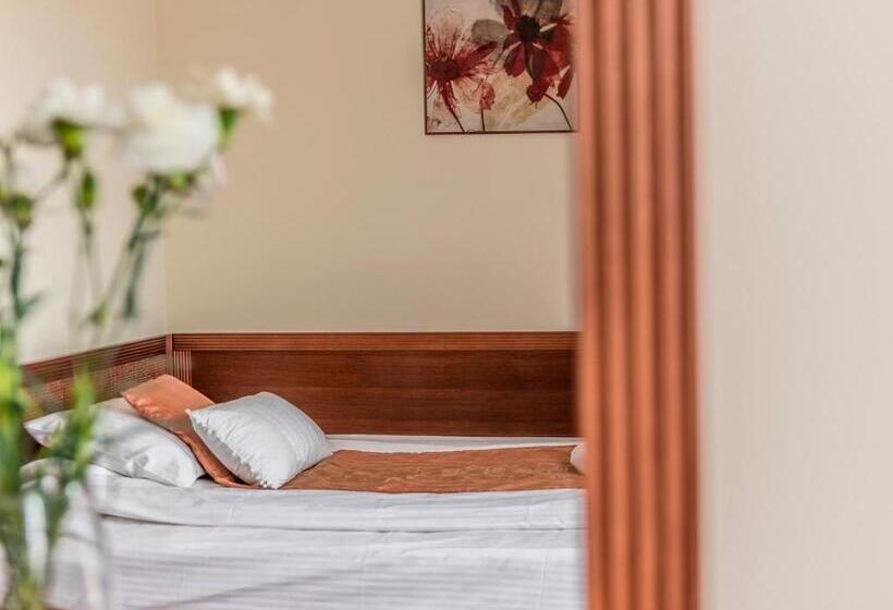 اتاق استاندارد یک نفره, Villa Magnat Spa, Jacuzzi, Sauna, Tężnia Solankowa