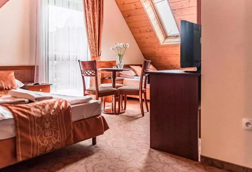 スタンダード４人部屋, Villa Magnat Spa, Jacuzzi, Sauna, Tężnia Solankowa