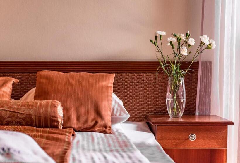 اتاق استاندارد چهار تخته, Villa Magnat Spa, Jacuzzi, Sauna, Tężnia Solankowa