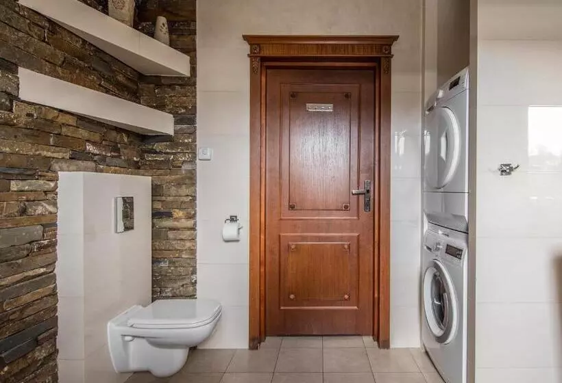 バルコニー付き１ベッドルームアパートメント, Villa Magnat Spa, Jacuzzi, Sauna, Tężnia Solankowa