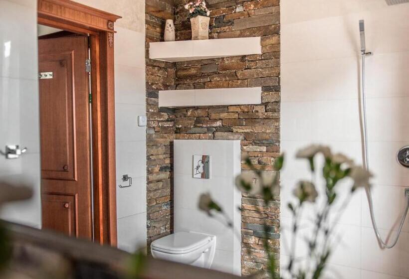 آپارتمان 1 خوابه با بالکن, Villa Magnat Spa, Jacuzzi, Sauna, Tężnia Solankowa