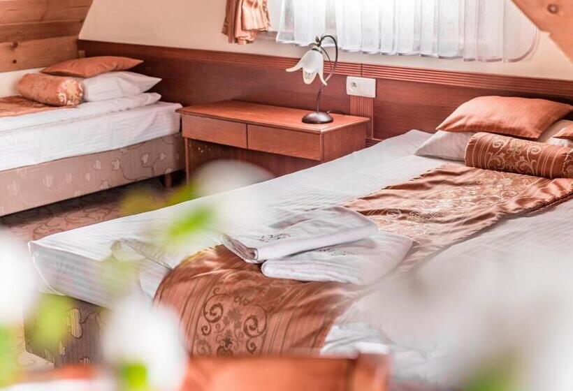 اتاق خانوادگی, Villa Magnat Spa, Jacuzzi, Sauna, Tężnia Solankowa