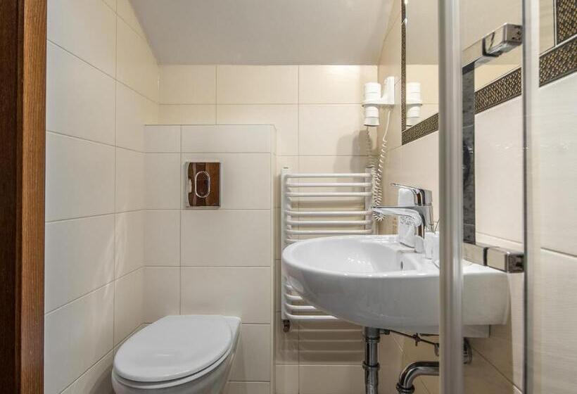 Трежместный Номер Economy, Villa Magnat Spa, Jacuzzi, Sauna, Tężnia Solankowa