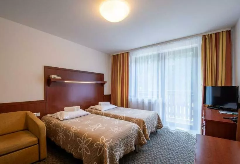 Standard-huone, Wierchomla Ski & Spa Resort