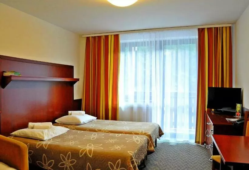 Standard-huone, Wierchomla Ski & Spa Resort