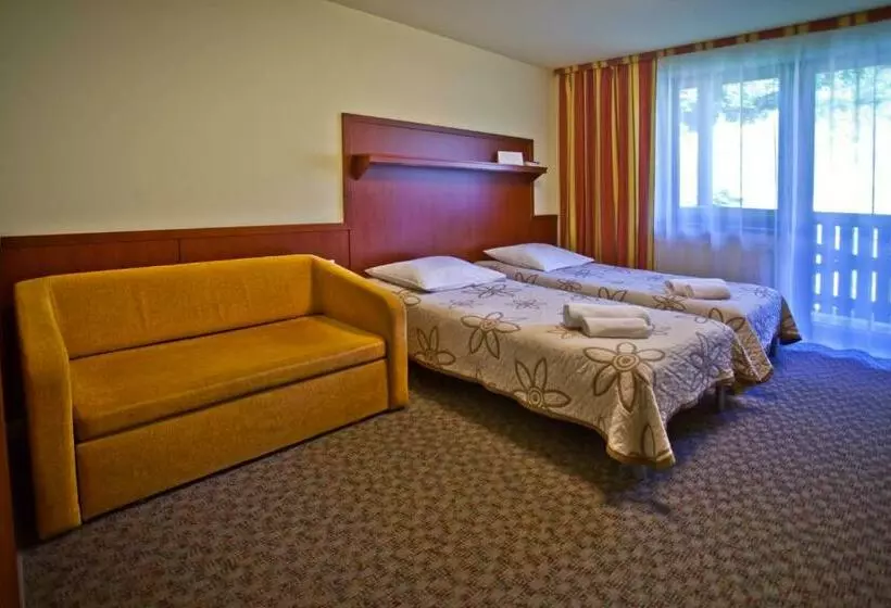 Standard Kolmen Hengen Huone, Wierchomla Ski & Spa Resort