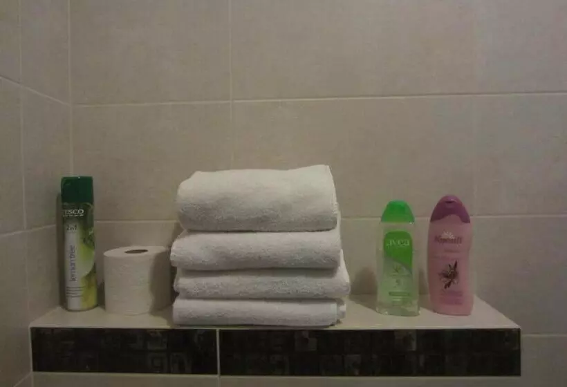 اتاق عادی, Willa M Cisza W Centrum Miasta