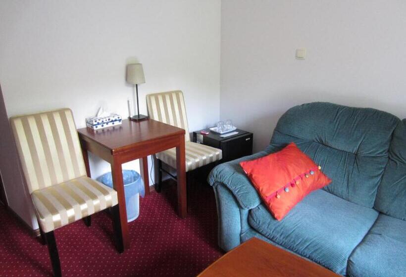 اتاق خانوادگی با چشمانداز کوه, Willa M Cisza W Centrum Miasta