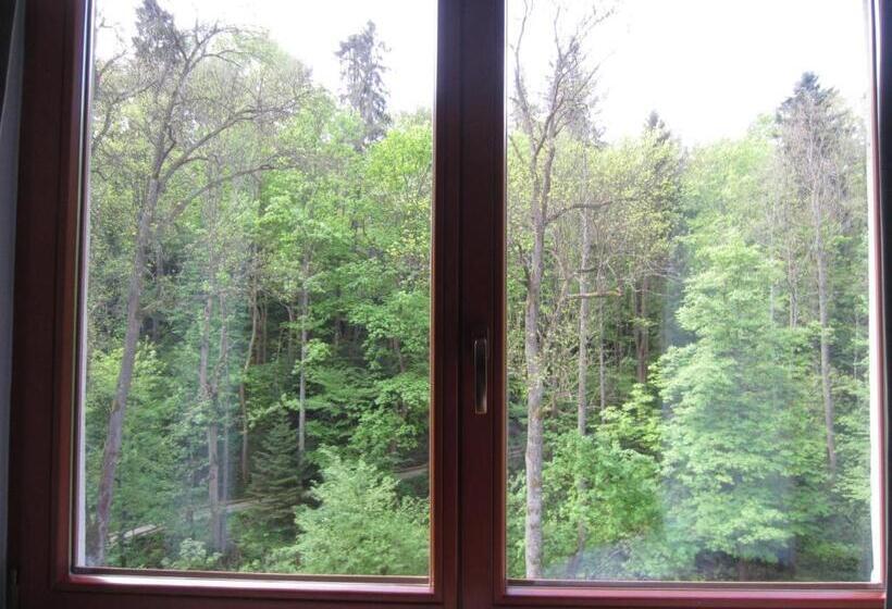 اتاق خانوادگی با چشمانداز کوه, Willa M Cisza W Centrum Miasta