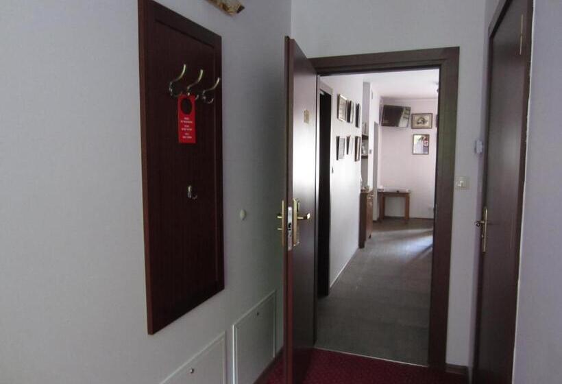 اتاق خانوادگی با چشمانداز کوه, Willa M Cisza W Centrum Miasta