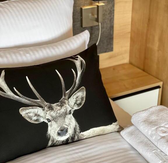 غرفة ديلوكس, Willa Spa Scaliano