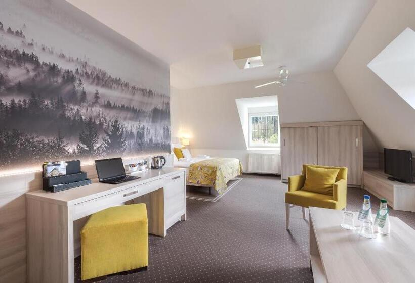 Apartamento 1 Quarto, Willa Spa Scaliano