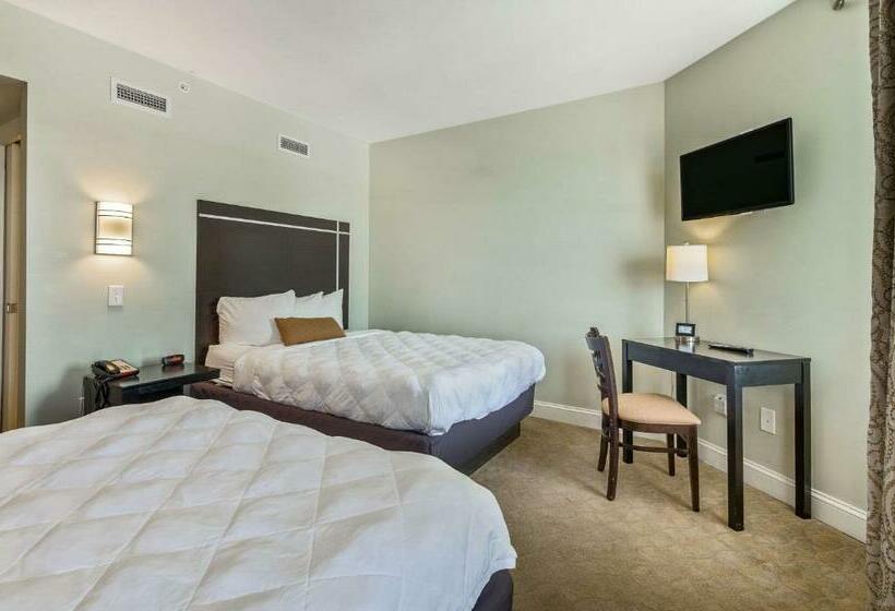 Номер Стандарт, The Gin Hotel, Ascend Hotel Collection