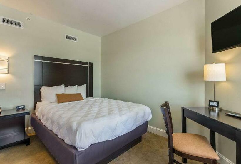 Номер Стандарт, The Gin Hotel, Ascend Hotel Collection