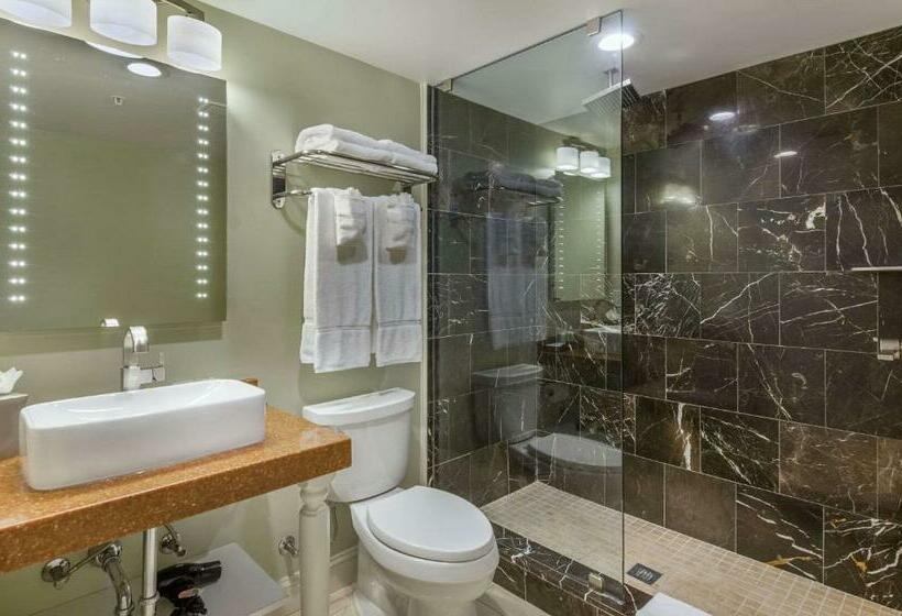 Номер Стандарт, The Gin Hotel, Ascend Hotel Collection