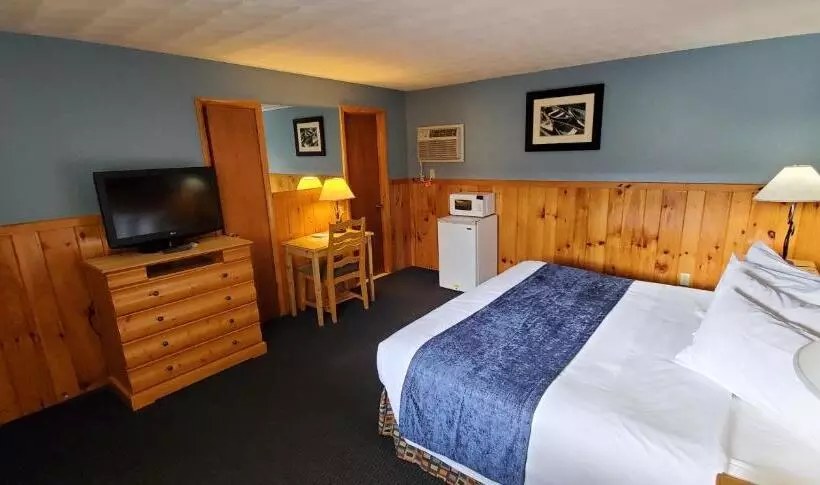 キングサイズベッドのスタンダードルーム, The Lake Motel