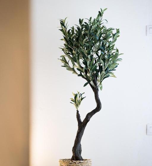 جناح, Guerrieri Suites & Spa