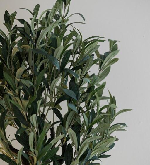 جناح, Guerrieri Suites & Spa