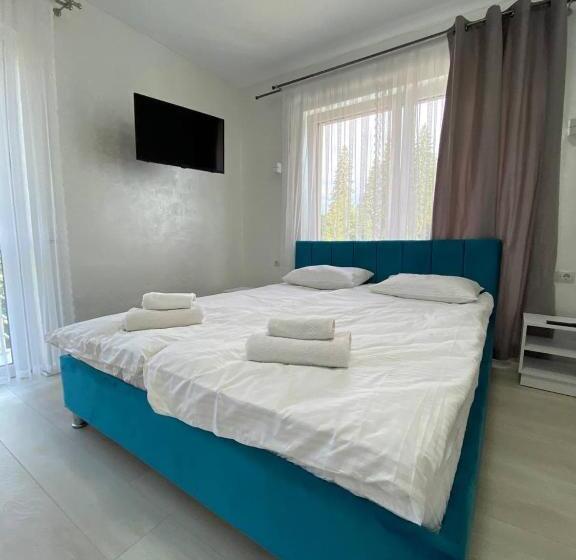 غرفة سوبيريور, Spa Hotel Nachiku