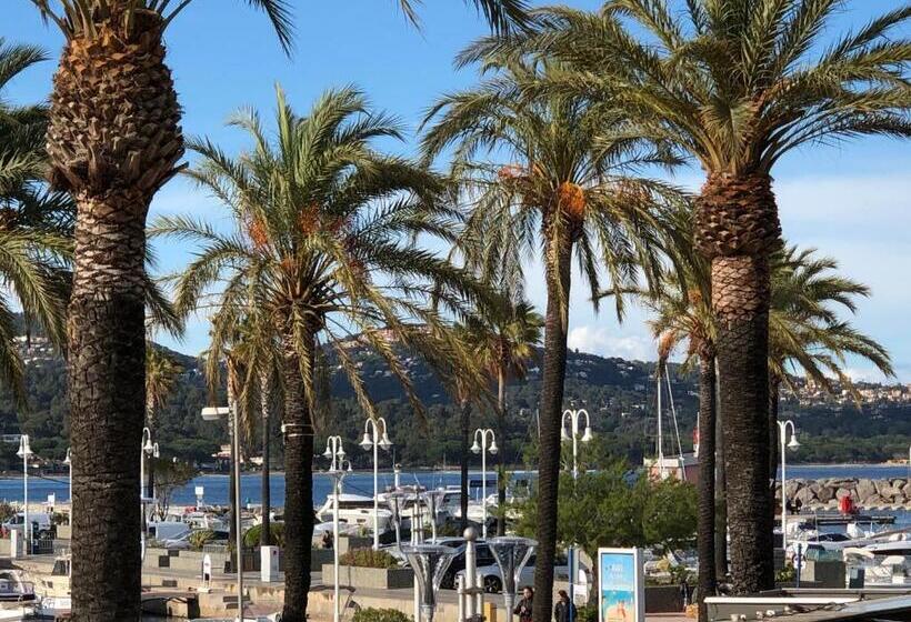 استودیوی استاندارد, Studio Des îles