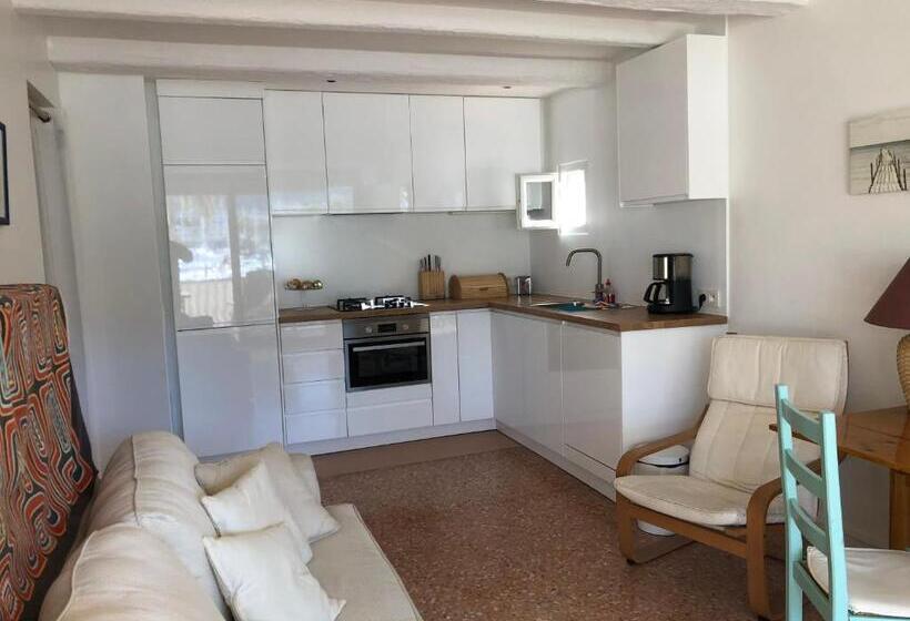 استودیوی استاندارد, Studio Des îles