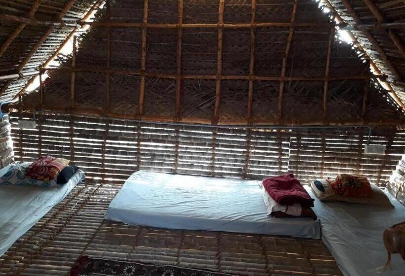 ルームシェアのワンベッド, Time Travellers Hostel