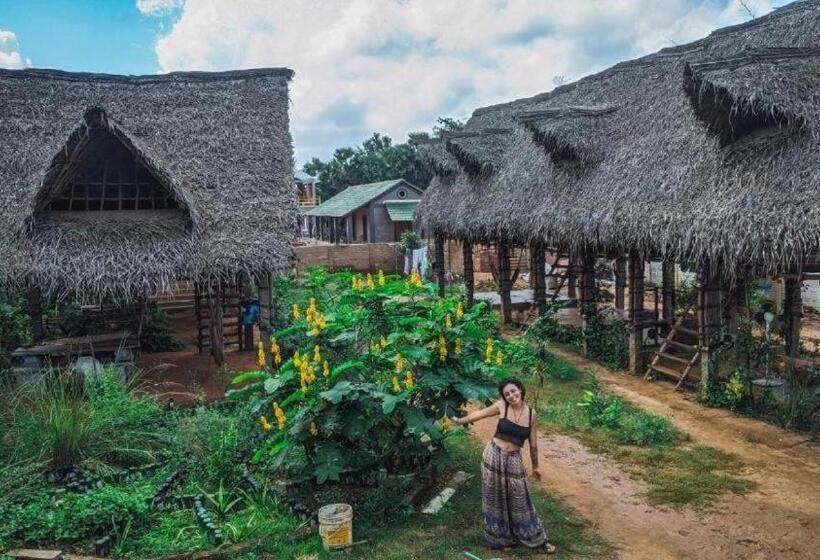 エコノミールーム, Time Travellers Hostel