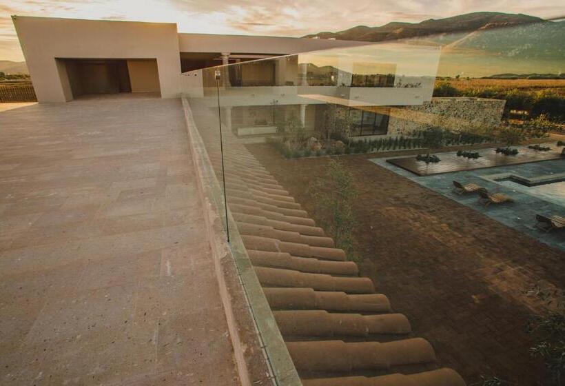 جناح رئاسى, Flores De Sal Valle De Guadalupe