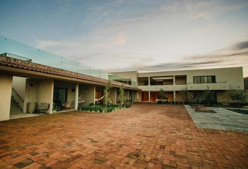 جناح رئاسى, Flores De Sal Valle De Guadalupe