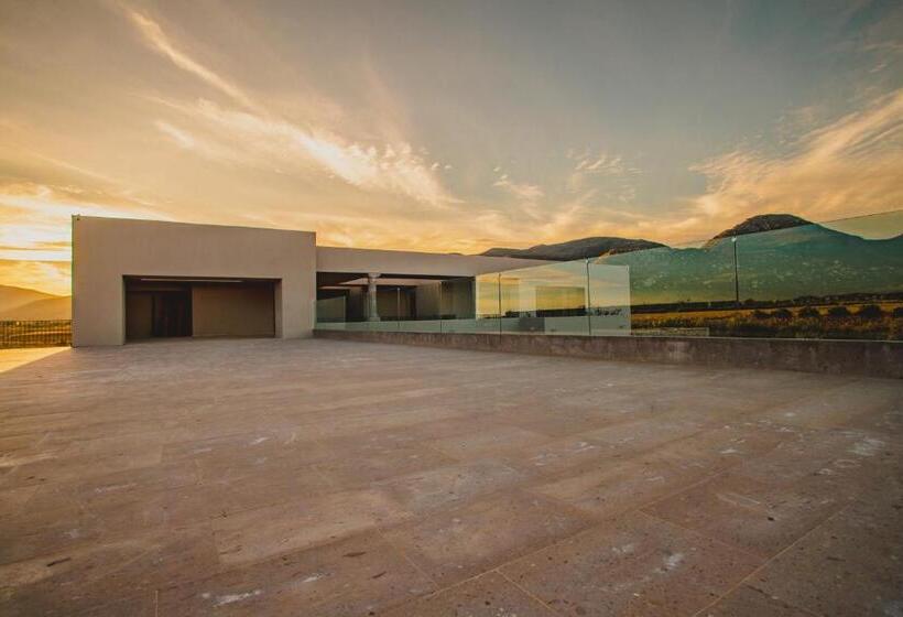 جناح ديلوكس سرير كينج, Flores De Sal Valle De Guadalupe