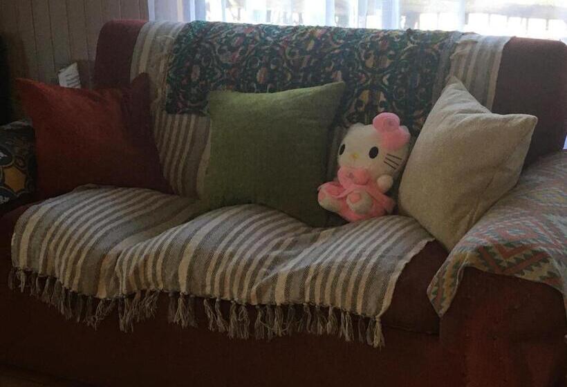 اتاق استاندارد یک نفره, Fran&emmaiii