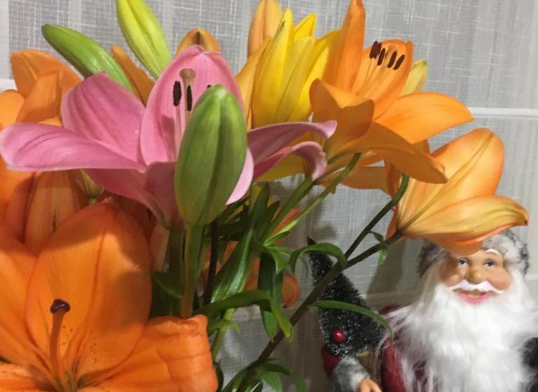 اتاق استاندارد یک نفره, Fran&emmaiii