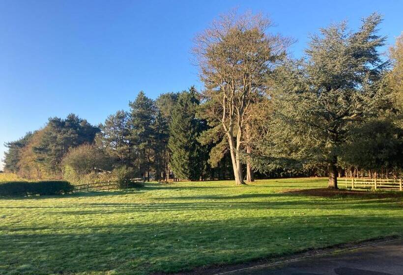 Четырехместный Номер Стандарт Вид на Сад, North Clifton Hall