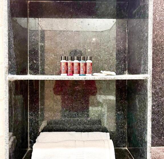 סוויטה משפחתית, Vasudev Niwas