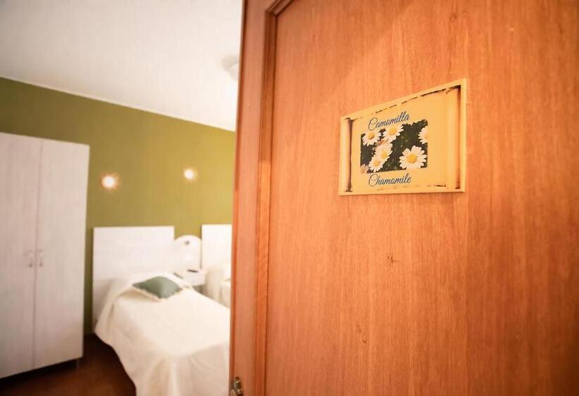 スタンダードルーム, B&b Green House