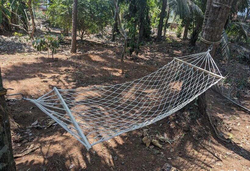 חדר סטנדרט, Hill Top Homes