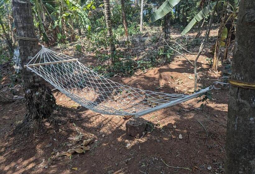 חדר סטנדרט, Hill Top Homes