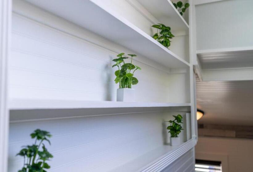 إستوديو قياسى, Depot Village