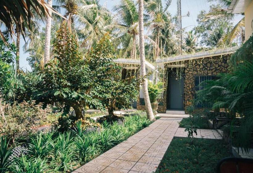 اتاق خانوادگی, Homestay Bến Tre