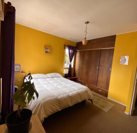 اتاق استاندارد با سرویس بهداشتی مشترک, Espacio Mycelium