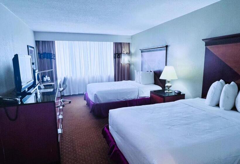 스탠다드 룸, Indy