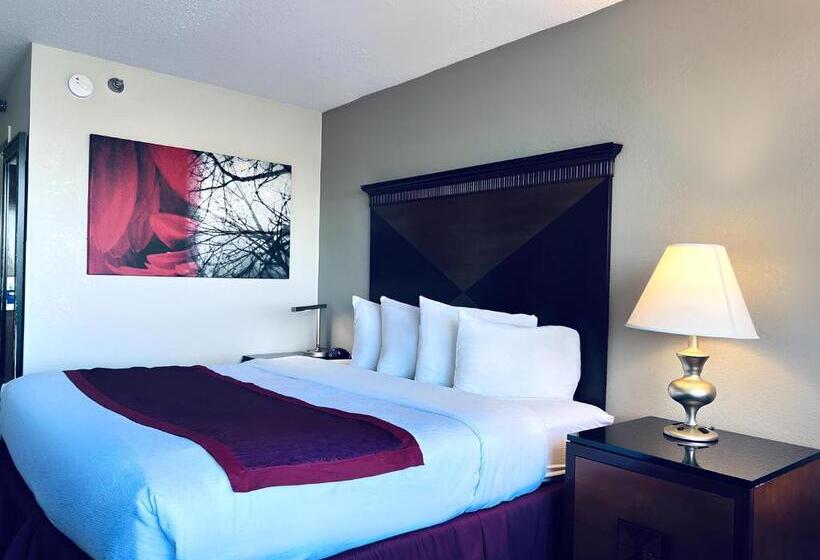 스탠다드 싱글 룸, Indy