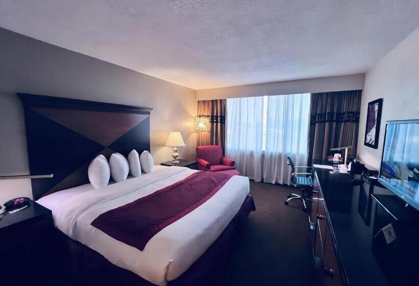 스탠다드 싱글 룸, Indy