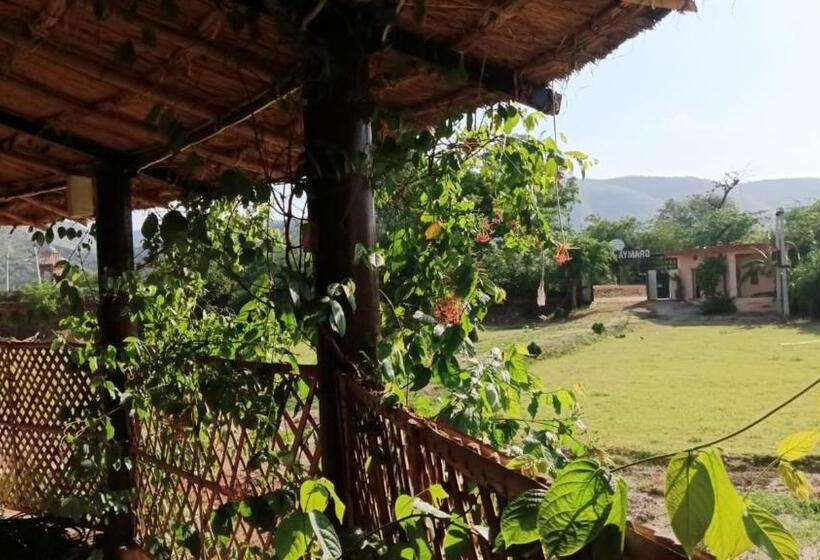 جناح مطلّ علي الجبل, Gramya Resort