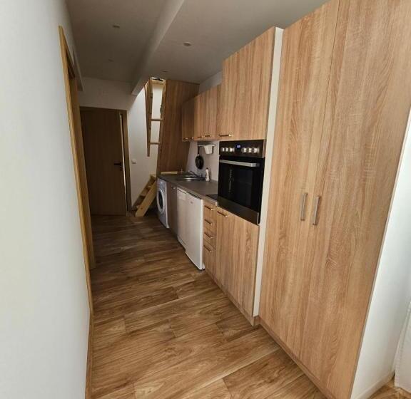 آپارتمان 2 خوابه, Magazaki Apartments Tešnjar