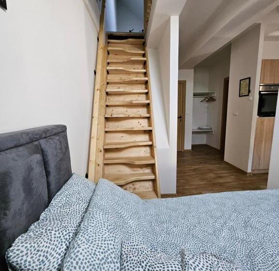 آپارتمان 1 خوابه, Magazaki Apartments Tešnjar