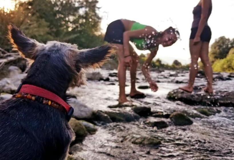 آپارتمان سوپریور 1 خوابه, Guest House Bitter