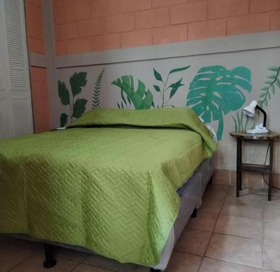 آپارتمان 1 خوابه با چشم‌انداز باغ, Chilamar Surf Lodge