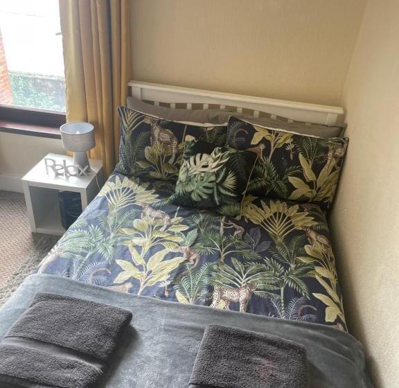 غرفة قياسية, House In Antrim Road