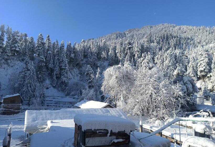 اتاق لوکس با بالکن, Wood Stone Homestay